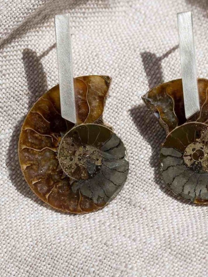 Hoa Tai Vỏ Sò Brown Ammonite – Lore Segers Jewels